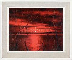 Heil József (1929-): Bíbor naplemente. Olaj, farost, jelzett, fa keretben. Hátoldalán a művész címkéjén feliratozott. 40×50 cm
