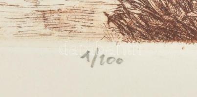 ifj. Imre István (1950- ): Tónál. Rézkarc, papír, jelzett, számozott (1/100), lap széle foltos, 24×2...