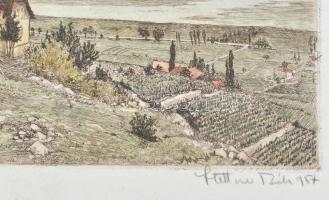 Stettner Béla (1928-1984): Kilátás a Badacsonyról. Színezett rézkarc, papír, jelzett, foltos, karton...