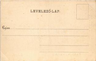 Budapest XI. Szent Gellérthegy, gőzhajók. Divald Károly 55. sz