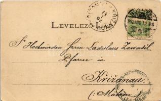 1902 Budapest I. Pest látképe a budai oldalról. Fénynyomat Divald műintézetéből (EK)