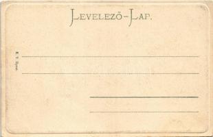 Budapest, Margit híd, villamos (EK)