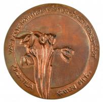 Szilágyi Bernadett (1951-) DN "Gayer Gyula 1883-1932 / Vas Megye környezet-és természetvédelméé...