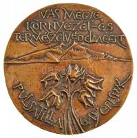 Tornay Endre András (1949-2008) DN "Gayer Gyula 1883-1932 / Vas Megye Környezet-és Természetvéd...