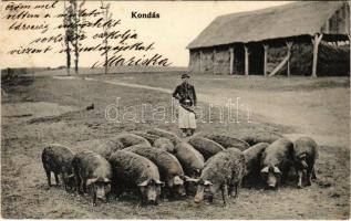 Kondás. M.T és F.V. Koch és Pór / Hungarian folklore, pigman (EK)