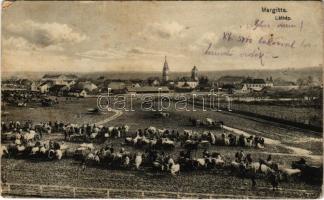 1915 Margitta, Marghita; piac / market (EK)