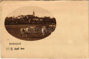 1916 Székelyhíd, Sacueni; ökör gulya / oxen herd (EK)