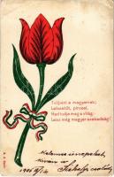 1906 Tulipánt a magyarnak. Hazafias propaganda lap / Hungarian patriotic propaganda, tulip (EB)