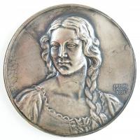 Berán Lajos (1882-1943) 1931. Budapesti Emlék ezüstözött bronz emlékérem, dísztokban (80mm) T:1-,2 HP 1330.