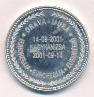 2001. "2001. naptárérem / Drava-Mura Eurorégió, 2001.09.14. Nagykanizsa" fém emlékérem (42...