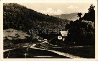 Rónaszék, Rohnen, Costiui; látkép. Perl kiadása / general view (EK)