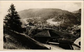 Borsafüred (Máramarosi Kárpátok), látkép / general view (gyűrődés / crease)