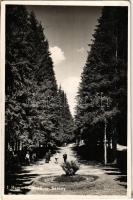 1944 Homoródfürdő, Baile Homorod; Sétány / promenade (EK)
