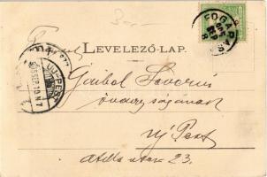 1905 Fogarasi-havasok (Fogarasi Kárpátok), Fogarascher Karpathen, Muntii Fagarasului; vízesés. Fleis...