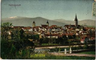 1914 Nagyszeben, Hermannstadt, Sibiu; látkép, híd / general view, bridge (EB)