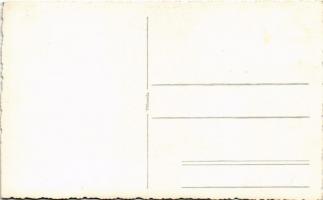 Székelyudvarhely, Odorheiu Secuiesc; látkép / general view. Kovács photo