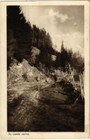 1916 Uzsok, Uzok, Uzhok; Uzsoki-szoros. Az Érdekes Újság felvétele / gorge, mountain pass (Rb)