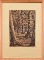 Scultéty Éva (1917-2001): Erdő. Rézkarc, papír, jelzett, 34x25 cm. Üvegezett fakeretben.