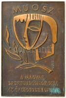 Kiss Kovács Gyula (1922-1984) ~1970. MUOSZ - A Magyar Sportújságírók Díja - Az év legjobbjainak egyoldalas, öntött bronz plakett (123x82mm) T:1- patina