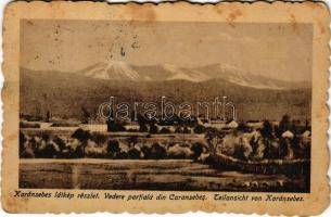 1922 Karánsebes, Caransebes; látkép / general view (fl)