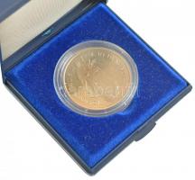 1991. 100Ft Cu-Ni "II. János Pál pápa látogatása" műanyag dísztokban T:1 
Adamo EM119