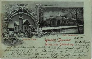 1898 (Vorläufer) Sopron, Dr. Lenck és Flandorffer villa télen. Art Nouveau, floral, litho (r)