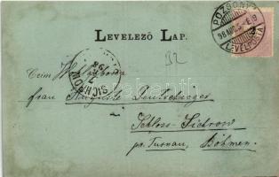 1898 (Vorläufer) Sopron, Dr. Lenck és Flandorffer villa télen. Art Nouveau, floral, litho (r)