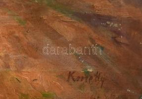 Kmetty jelzéssel: Táj. Olaj, vászon, sérült. 60x80 cm
