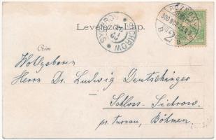 1900 Pozsony, Pressburg, Bratislava; Gruss vom Cäcilienfeste am Krönungsdome zu St. Martin. Missa So...