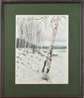 B László jelzéssel: Tél táj. Akvarell, papír. 36,5x26,5 cm. Üvegezett dekoratív fa keretben.