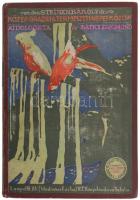 [Steinen, Karl von den (1855-1929)]: dr. Steinen Károly: Közép-Brazília természeti népei között. A m...