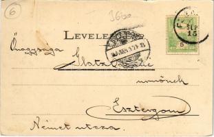 1904 Fogaras, Fagaras; Háner szálloda, Schul Henrich (Heinrich), J. Jaros üzlete. Szinberger Manó ki...