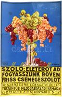 Szőlő: életerőt ad, fogyasszunk bőven friss csemegeszőlőt, plakát, restaurált, 45×30 cm