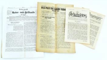 1854-1926 Kis Újság gyűjtemény: Zeitschrift für Natur- und Heilkunde, Pest-Pilis Solt vármegye hivatalos lapja, Új ég és Föld 2 db száma