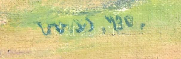 Vass Elemér (1887-1957): Vízparti táj, 1930. Olaj, vászon. Jelzett. Vakráma nélkül. Kissé sérült. 39...