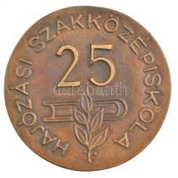 1993. "Hajózási Szakközépiskola 25" kétoldalas bronz emlékérem, eredeti sérült tokban (~78...