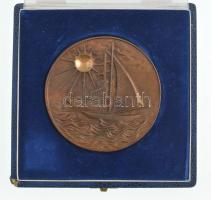 1993. "Hajózási Szakközépiskola 25" kétoldalas bronz emlékérem, eredeti sérült tokban (~78...