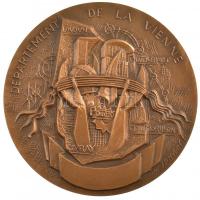 Franciaország 1973. "Vienne Megye" kétoldalas, vert Br emlékérem Szign.: TSCHVDIN (68mm) T...