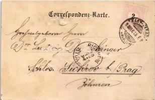 1898 (Vorläufer) Wien, Prosit 1899! / New Year greeting art postcard. litho (r)