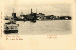 Pola, Pula; Oliven-Insel / Scoglio Olivi / Olíva-sziget a hadihajógyárral / Austro-Hungarian Navy, K.u.K. Kriegsmarine shipyard. Dep. M. Clapis. Phot. "Flora" (fl)