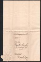 1909 Wekerle Sándor (1878-1963) pénzügyminiszter (és miniszterelnök, második Wekerle-kormány,1906. á...