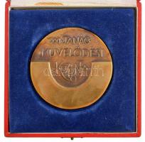 H. Varga Ilona (1927-1989) DN "XXI. k. Tanács Művelődési Központja" Br emlékérem eredeti d...