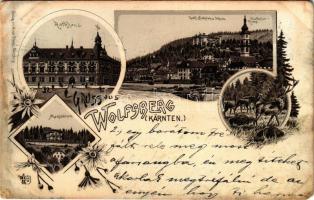 1899 (Vorläufer) Wolfsberg (Kärnten), Rathaus, Gräfl. Henckelsches Schloss, Stadtpfarrkirche, Mausoleum / town hall, castle, parish church, mausoleum. Art Nouveau, floral, litho (r)