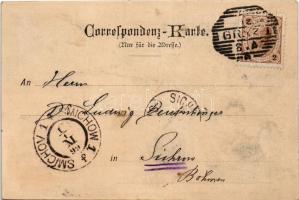 1898 (Vorläufer) Graz (Steiermark), Anna Gräfin von Meran, Gründerin des Anna Kinderspitales (als Br...