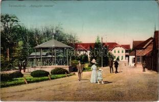 1913 Tarcsa, Tatzmannsdorf; Gyógytér részlet / street view (EK)