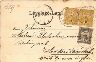 1902 Torontálvásárhely, Develák, Debelják, Debeljaca; Takarékpénztár, Református templom, Sepscy Ist...