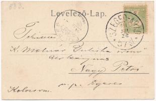 1904 Nagyszentmiklós, Sannicolau Mare; M. kir. földműves iskolai tanulók a telep részletén / agricul...