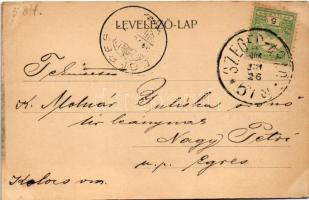 1904 Nagyszentmiklós, Sannicolau Mare; Gróf Nákó Sándor kastély / castle + "SZEGED - ARAD 67. S...