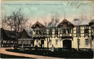 1912 Előpatak, Valcele; Damokos Miklós és Goldstein Manó villa. Berko Lipót kiadása / villas (EK)