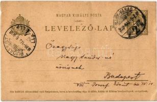 1908 Nagyvárad, Oradea; kézzel festett művészlap / hand-painted art postcard (EB)